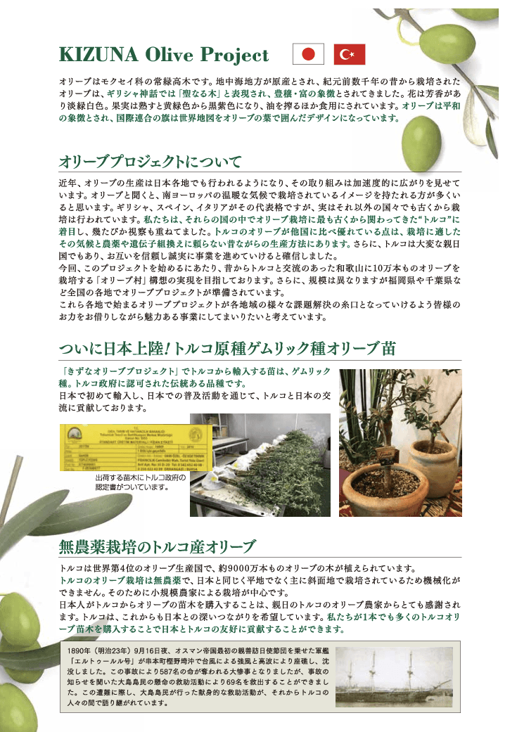 きずな オリーブプロジェクト
