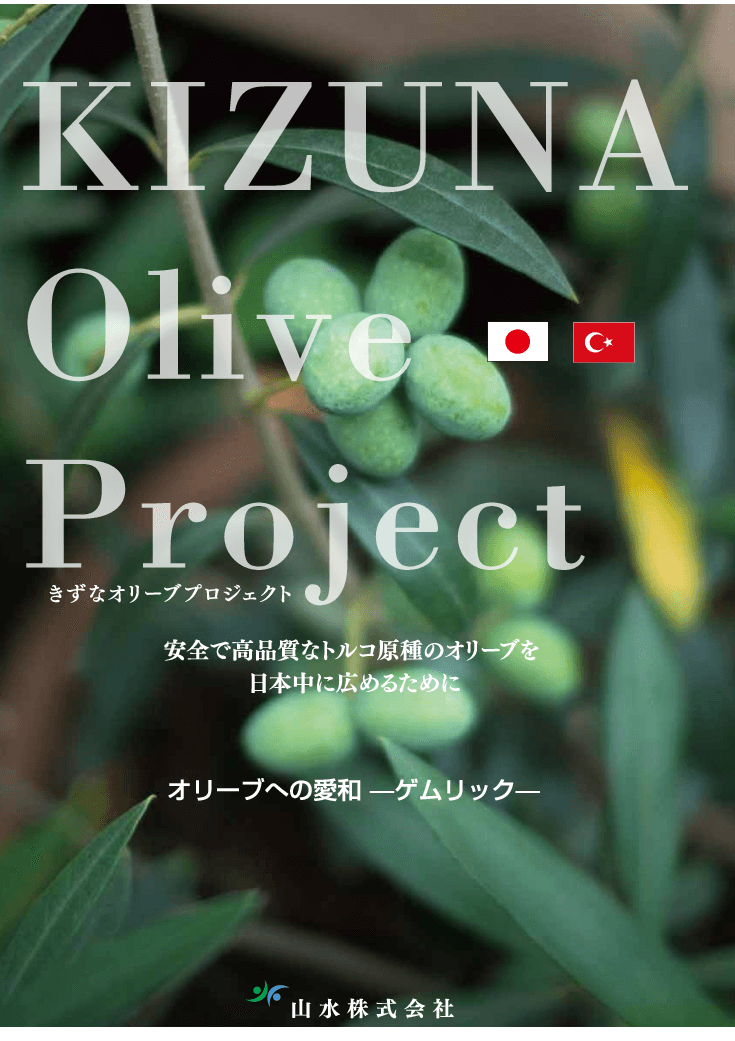 きずな オリーブプロジェクト