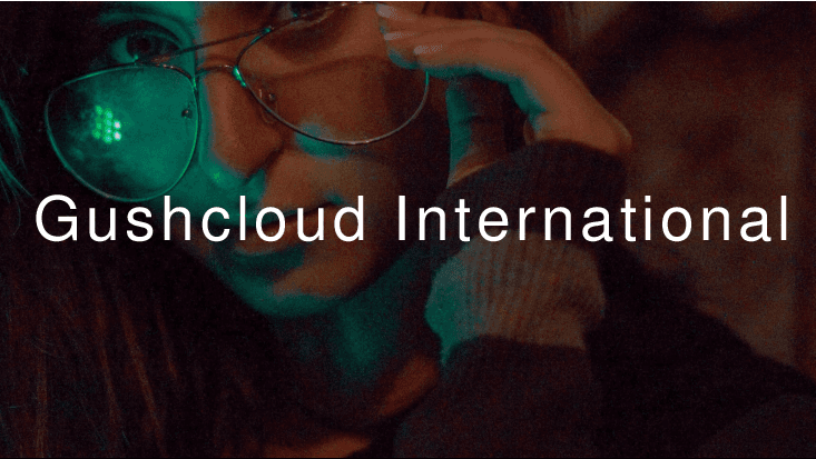 東南アジア領域を中心にインフルエンサーを活用した事業「Gushcloud」