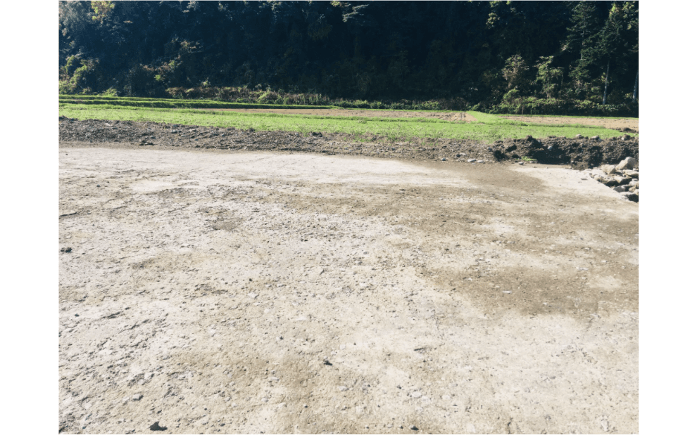 防草対策としての土壌硬化剤STEIN