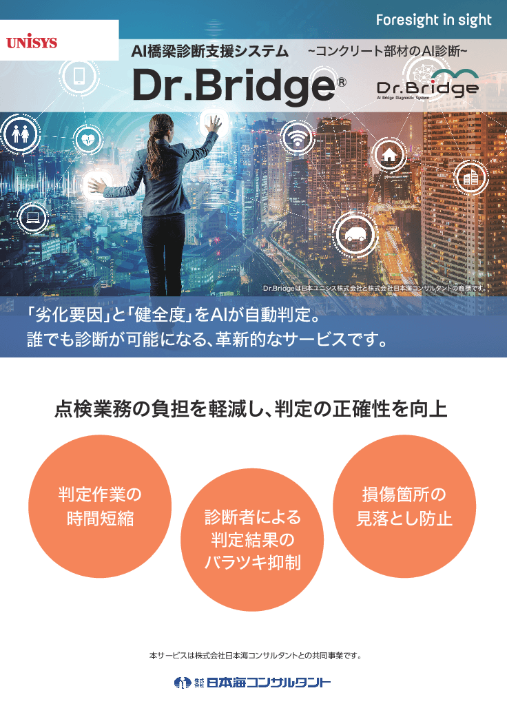 AI橋梁診断支援システム「Dr.Bridge」