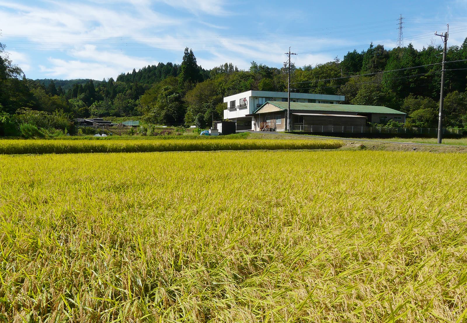 株式会社ジーネックス