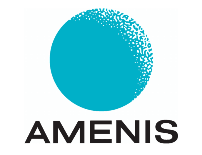 株式会社日比谷アメニス