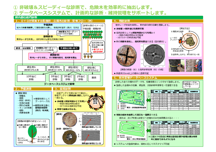街路樹・公園木の腐朽状況がわかる。非破壊診断で実現する「樹木の総合管理サービス」