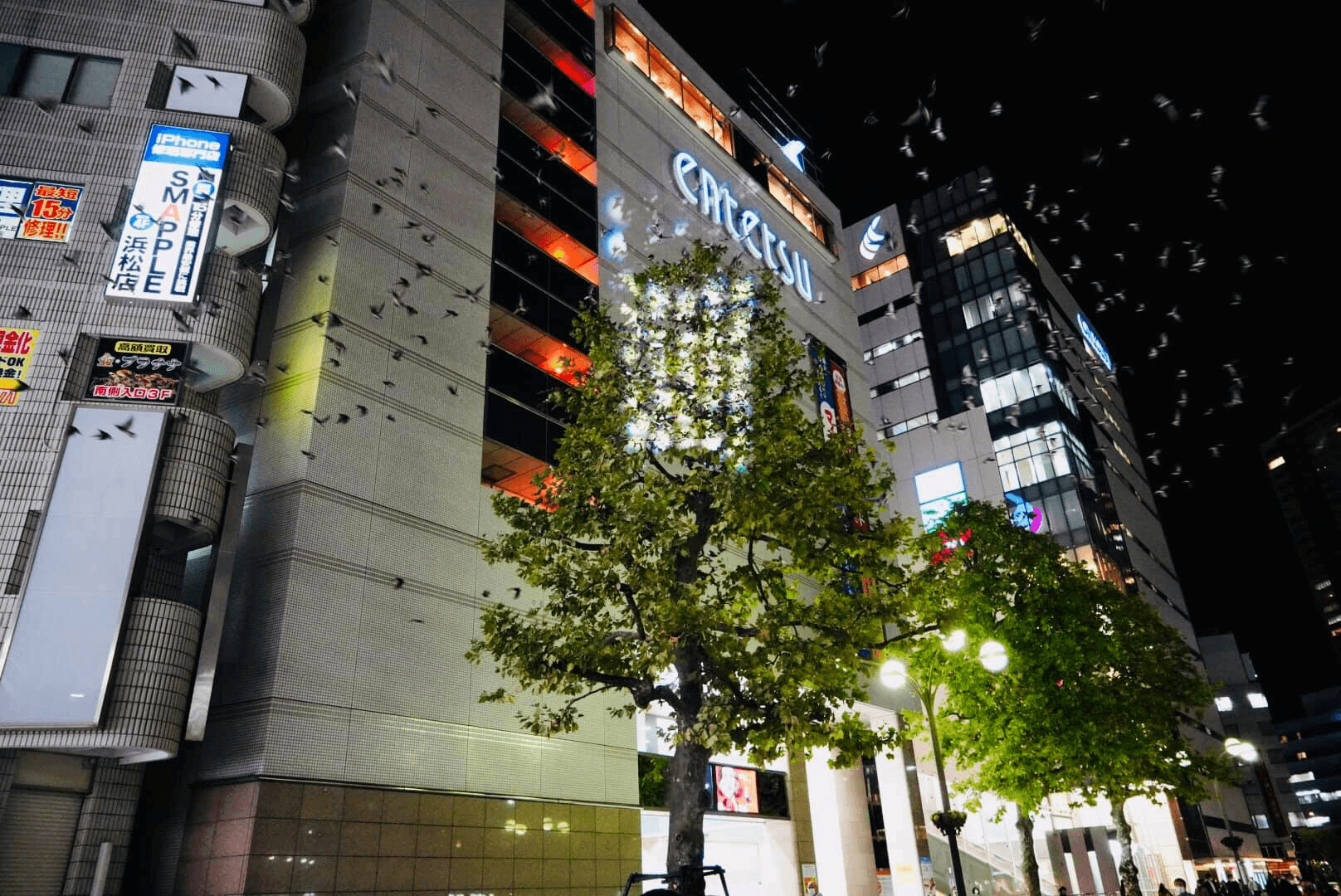 携帯型鳥獣対策用LED照明「ホロライト・チェッカーズ」貸し出しサービス