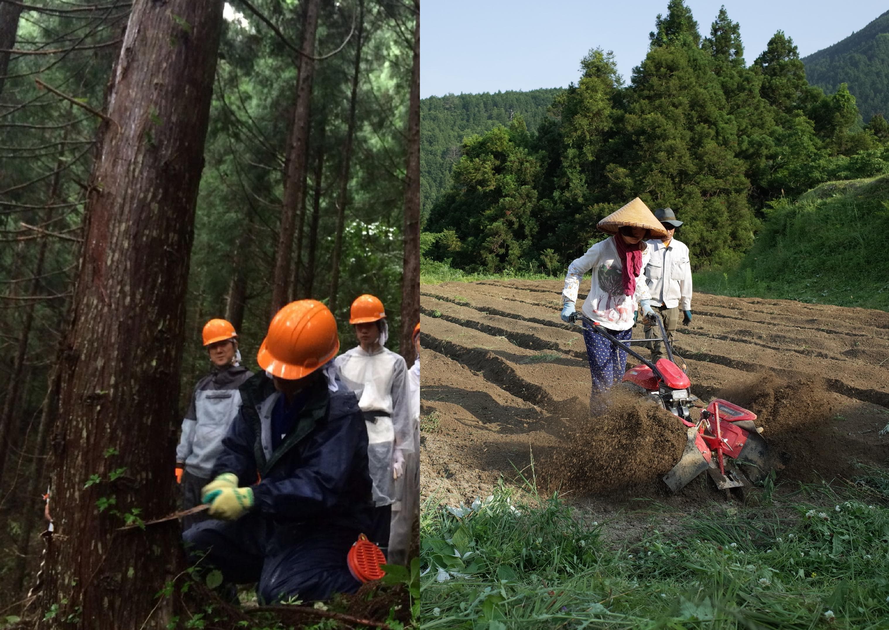農林業担い手育成、移住・定住促進事業