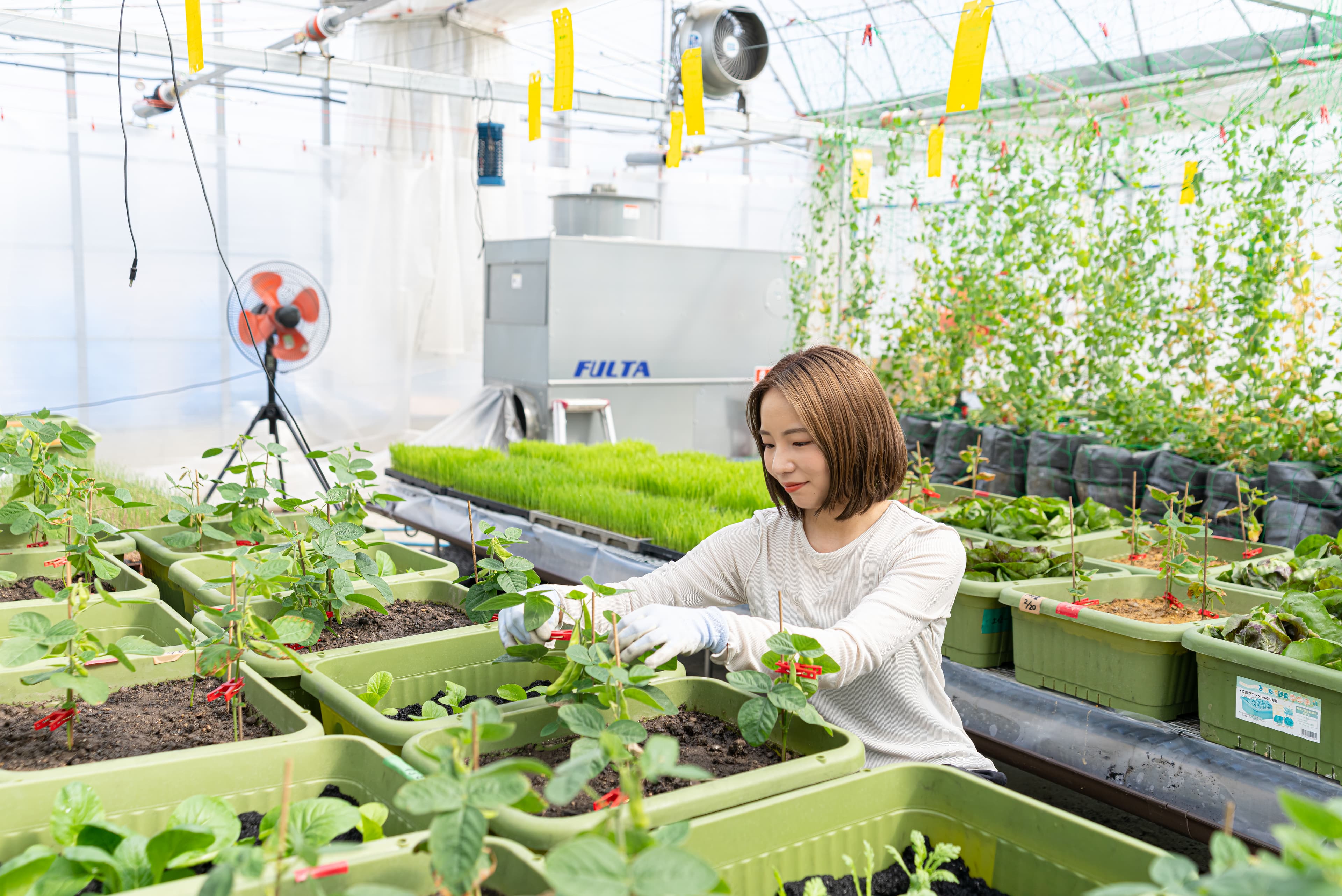 環境にも農家にも優しい高機能バイオ炭「宙炭（そらたん）」