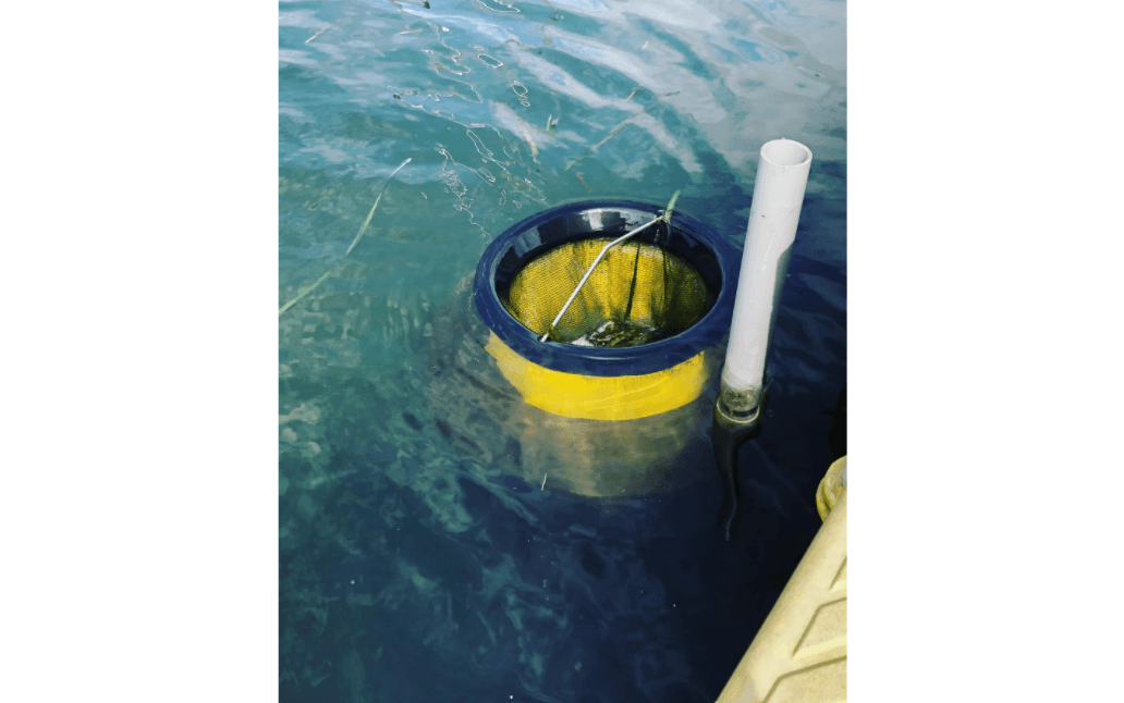 海洋浮遊ゴミ回収機「SEABIN（シービン）」