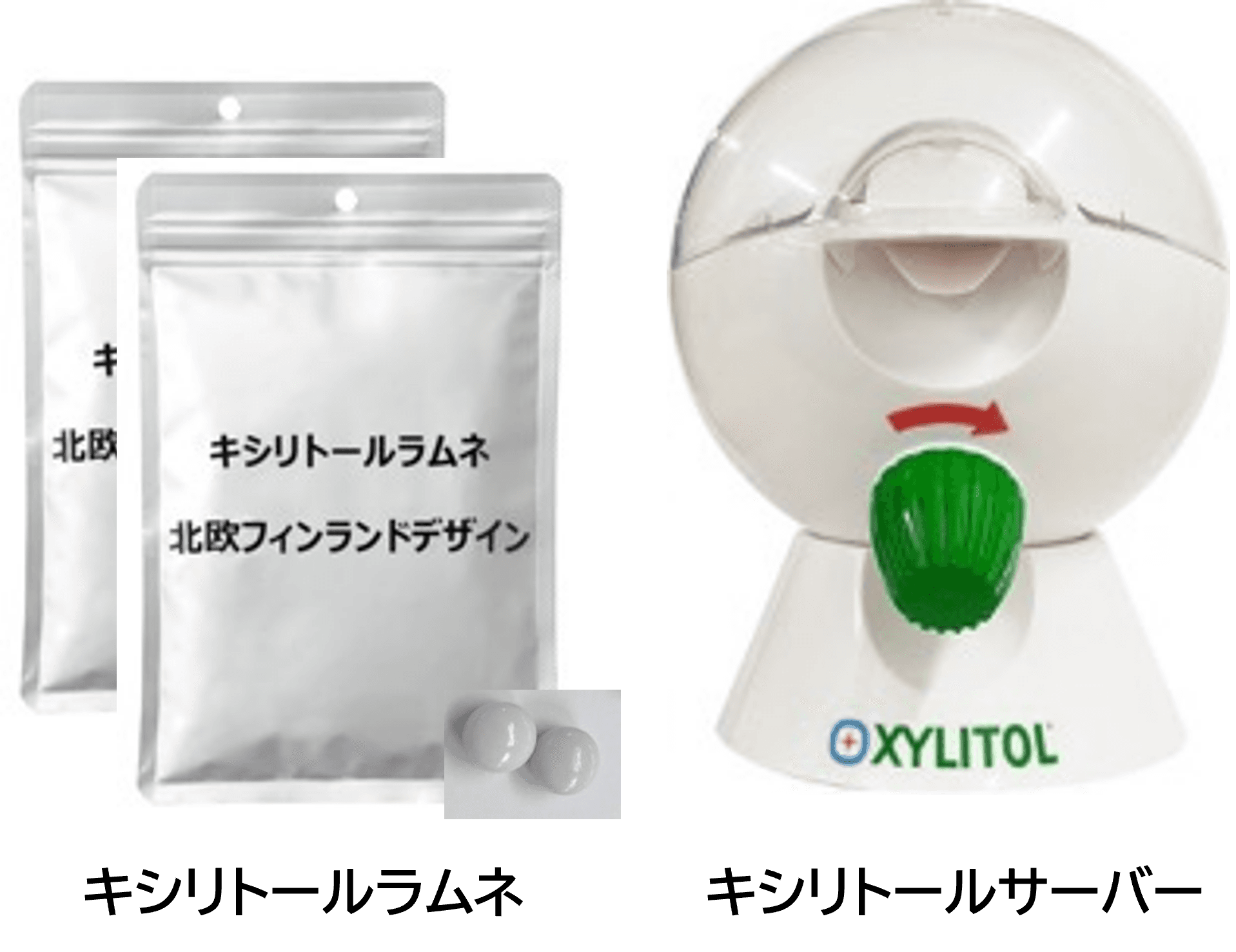 保育園・幼稚園へのキシリトールラムネ導入自治体募集｜ロッテ「その歯と100年。キシリトールプロジェクト」