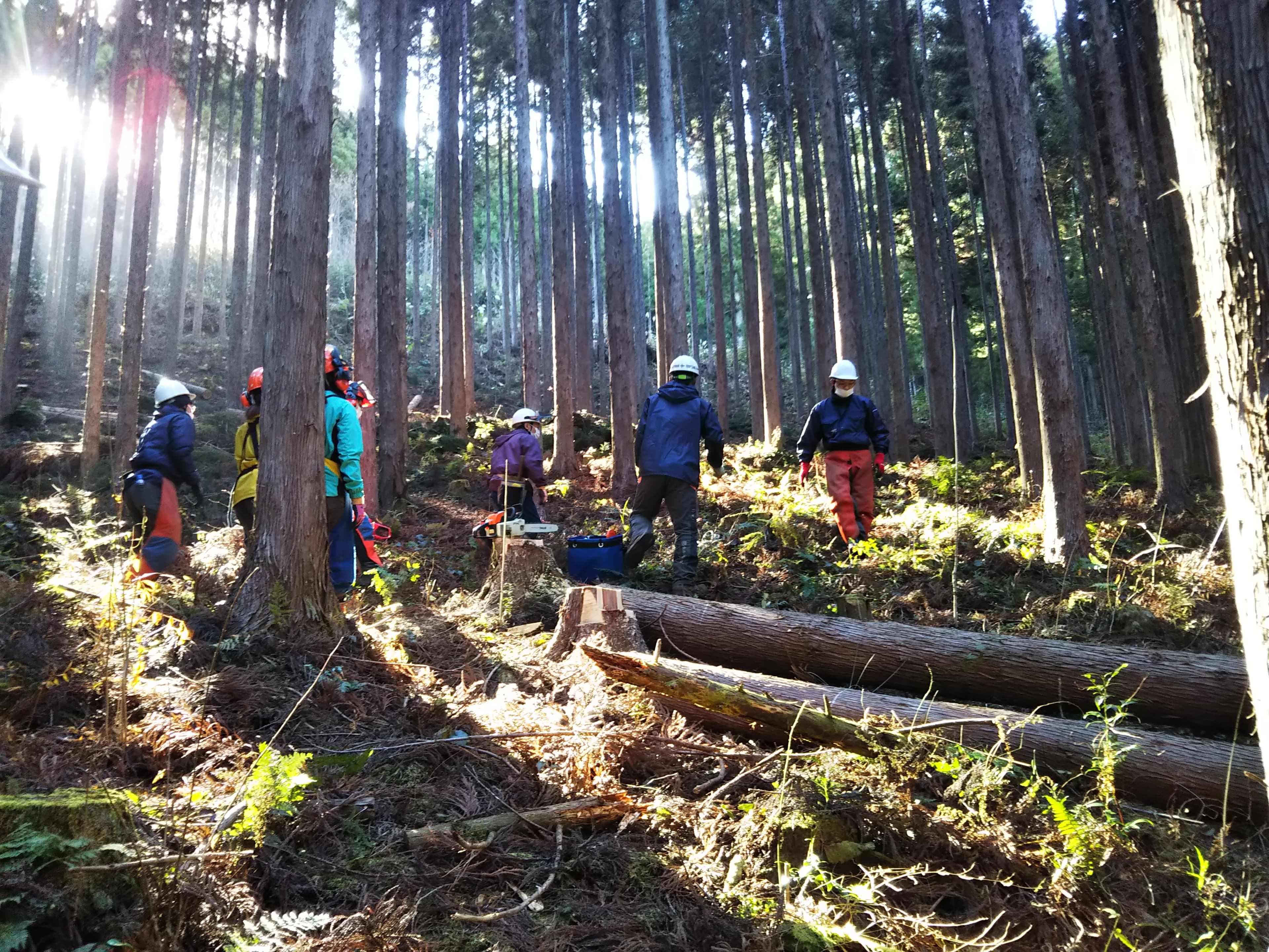 農林業担い手育成、移住・定住促進事業