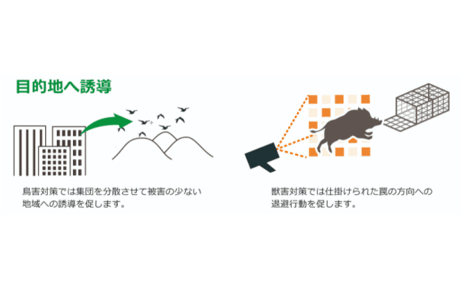 携帯型鳥獣対策用LED照明「ホロライト・チェッカーズ」貸し出しサービス