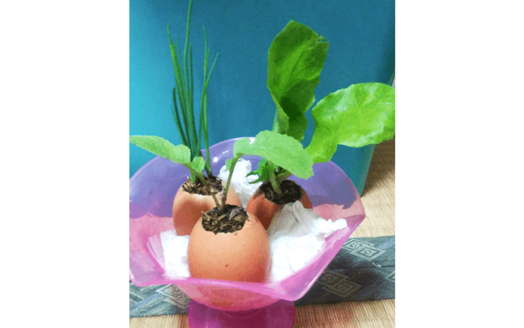 テーブルベジタブル