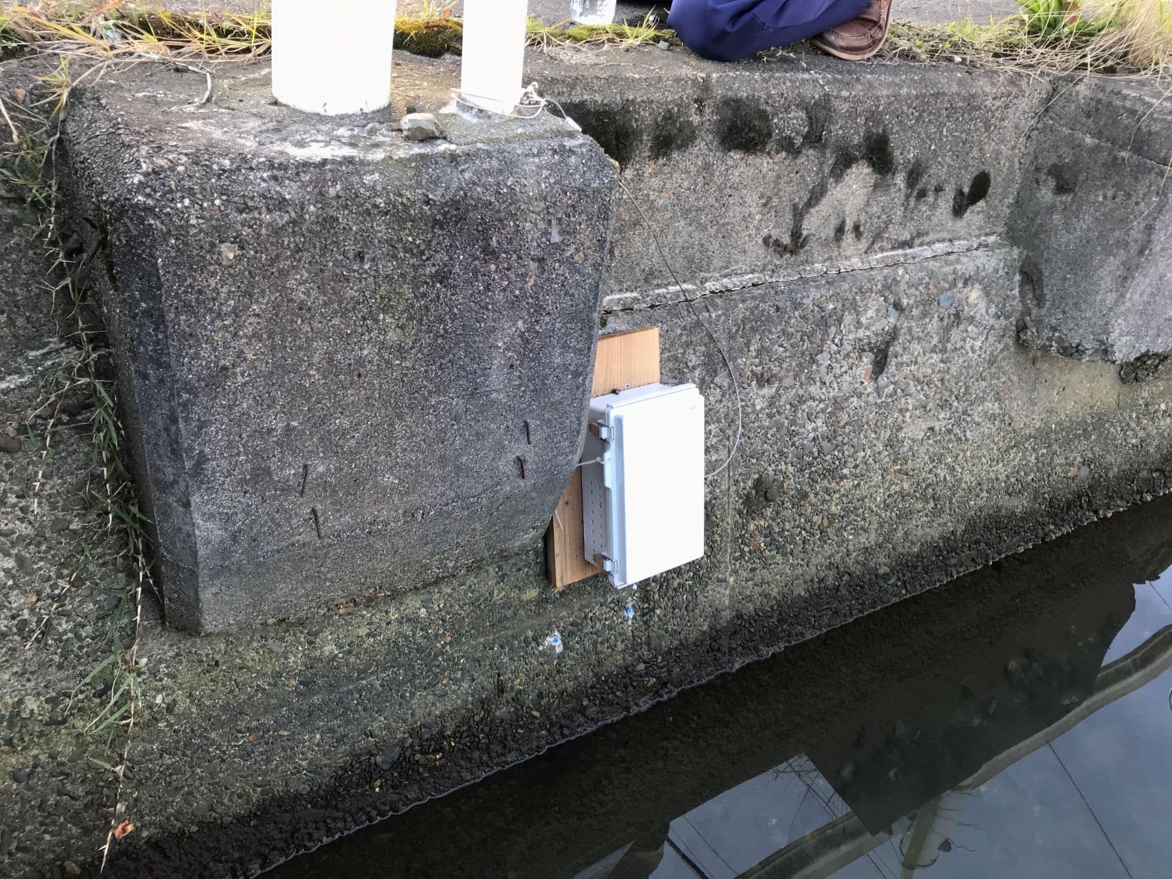 セルラー通信式浸水検知センサ（KAMEKER3）