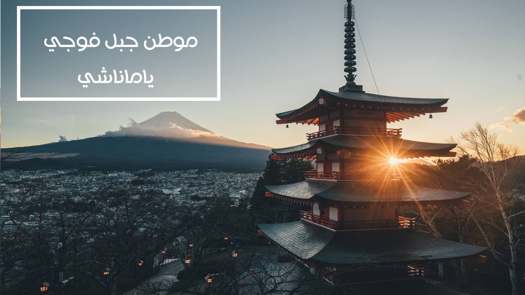 中東アラビア向けマーケティング＆プロモーション