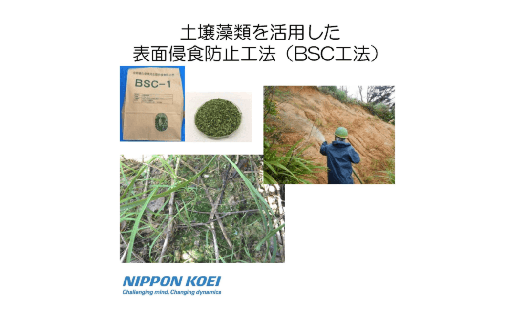 BSC工法 ～土壌藻類を活用した自然にやさしい侵食防止・自然侵入促進技術～