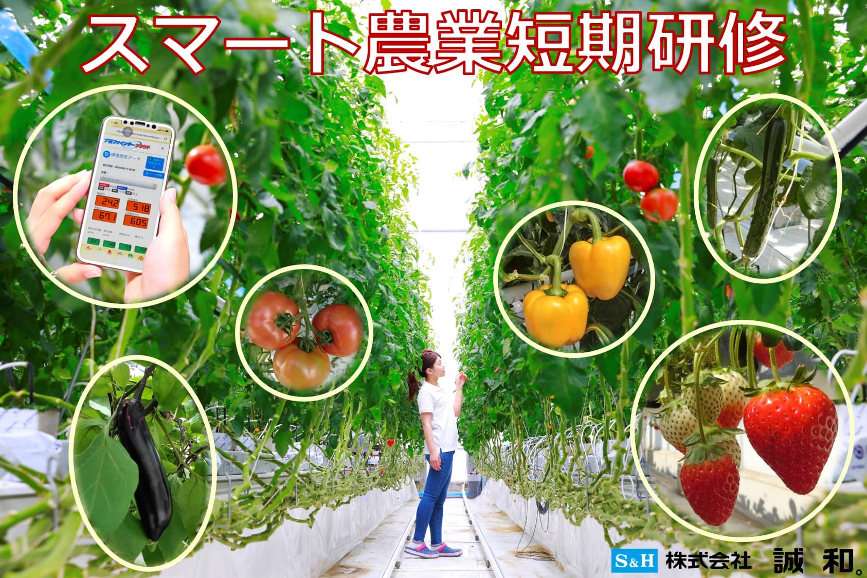 スマート農業短期研修