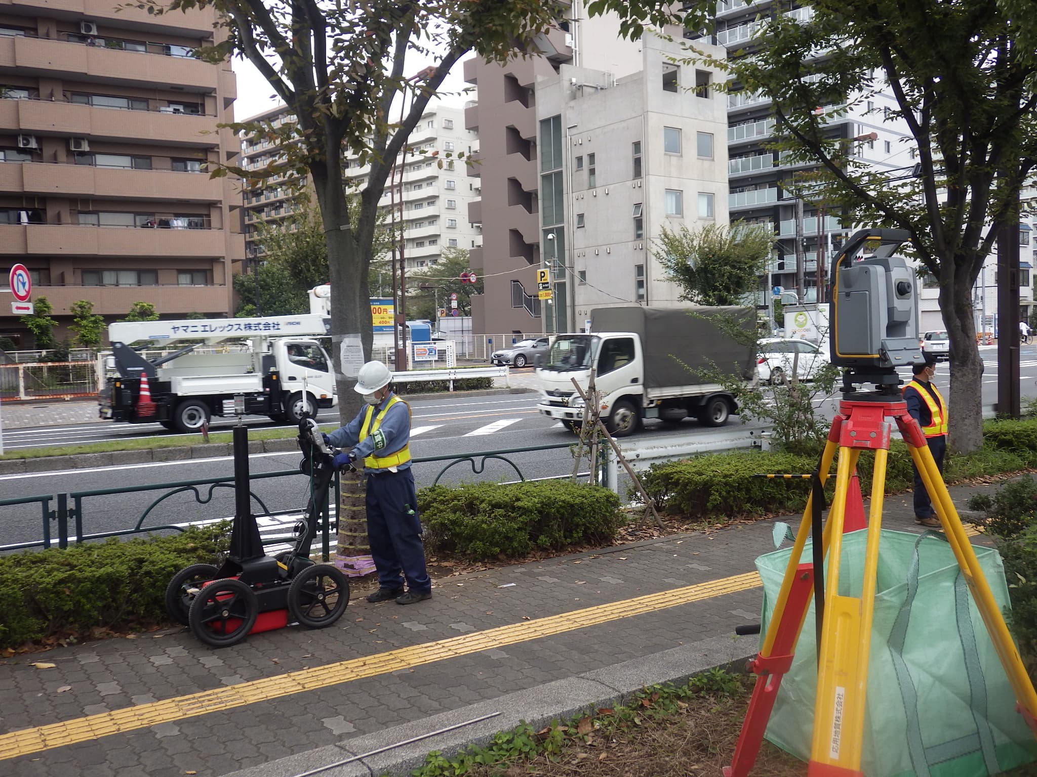街路樹・公園木の腐朽状況がわかる。非破壊診断で実現する「樹木の総合管理サービス」