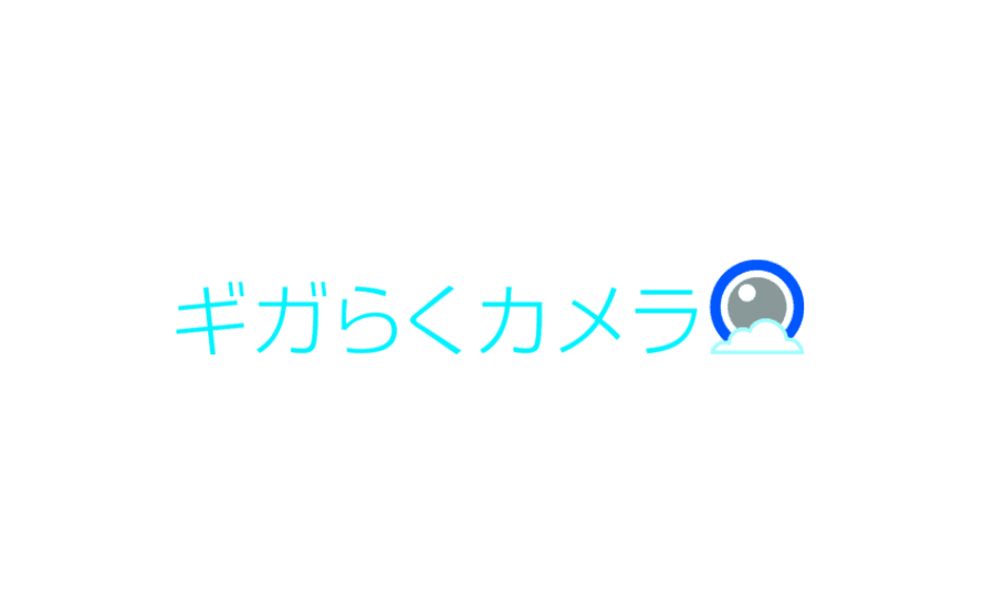 LTE対応ポータブルカメラ