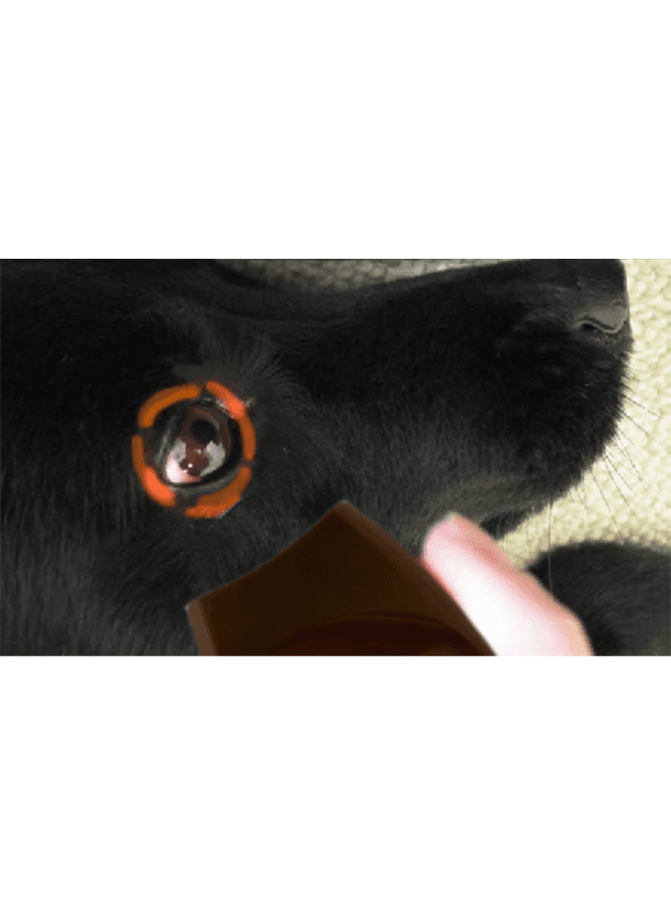 動物用非接触体温計「ビジオフォーカスVET」 BS-06610