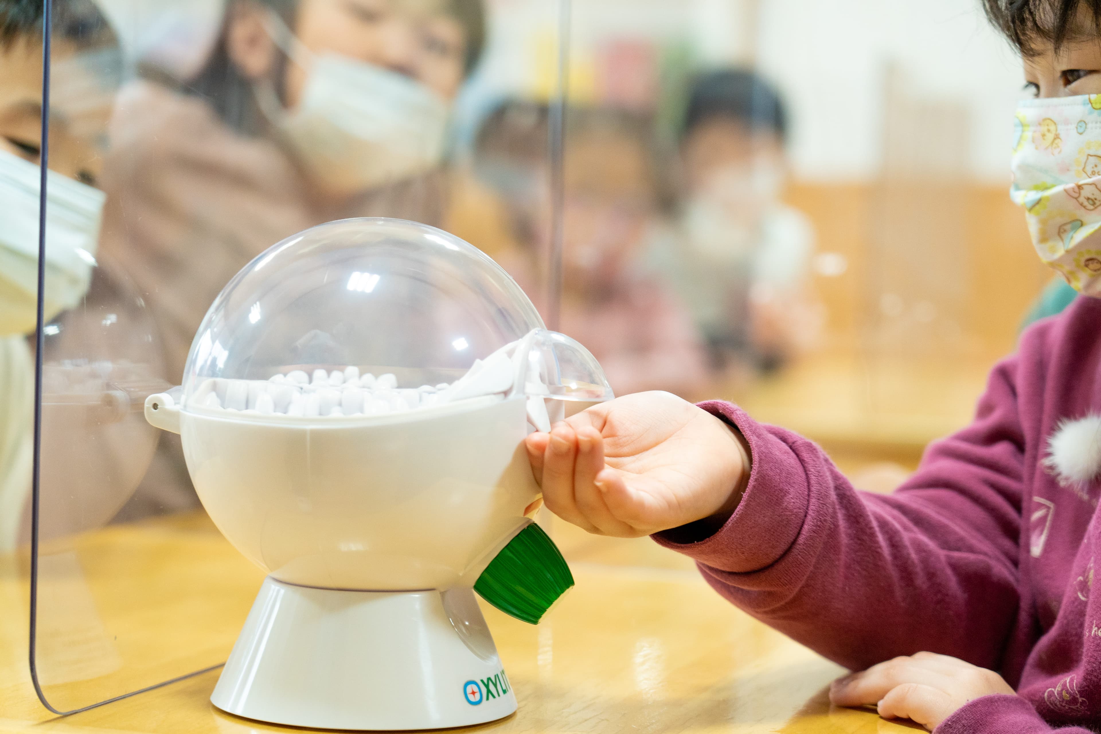 保育園・幼稚園へのキシリトールラムネ導入自治体募集|ロッテ「その歯と100年。キシリトールプロジェクト」