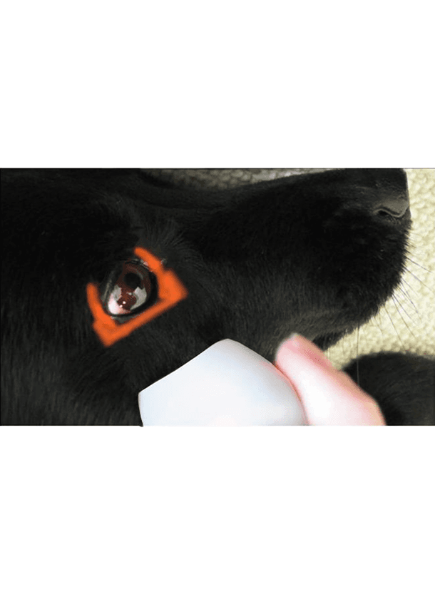 非接触投影式体温計「ビジオフォーカスAnimal」BS-6620